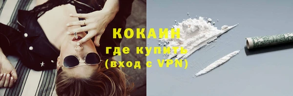 дживик Мегион