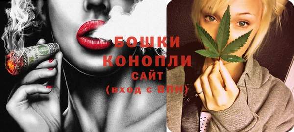 МДПВ Бикин