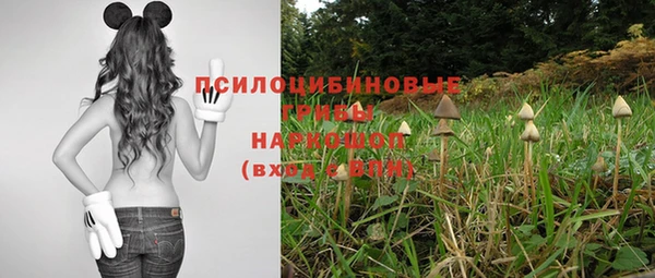 ALPHA-PVP Магас